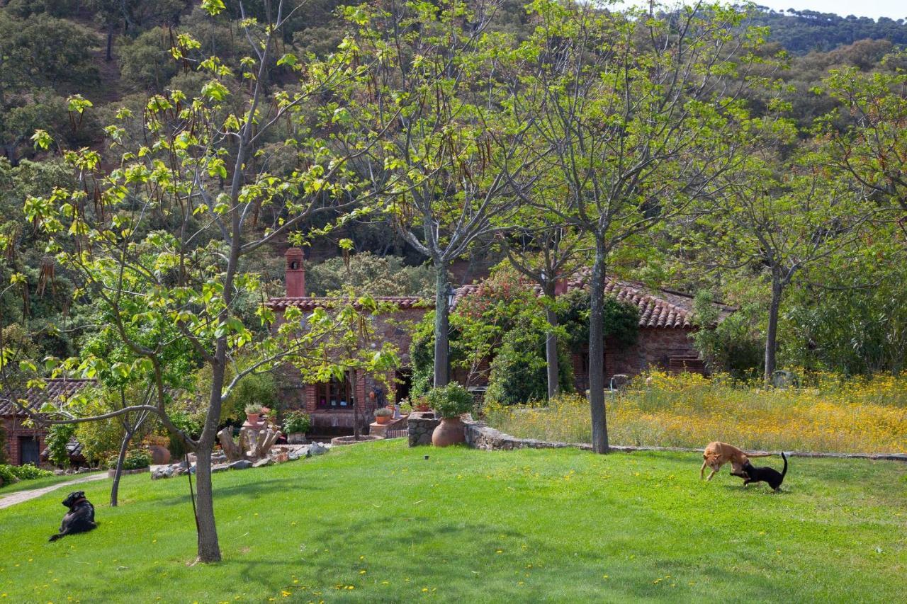 Molino Rio Alajar Alájar Exterior foto