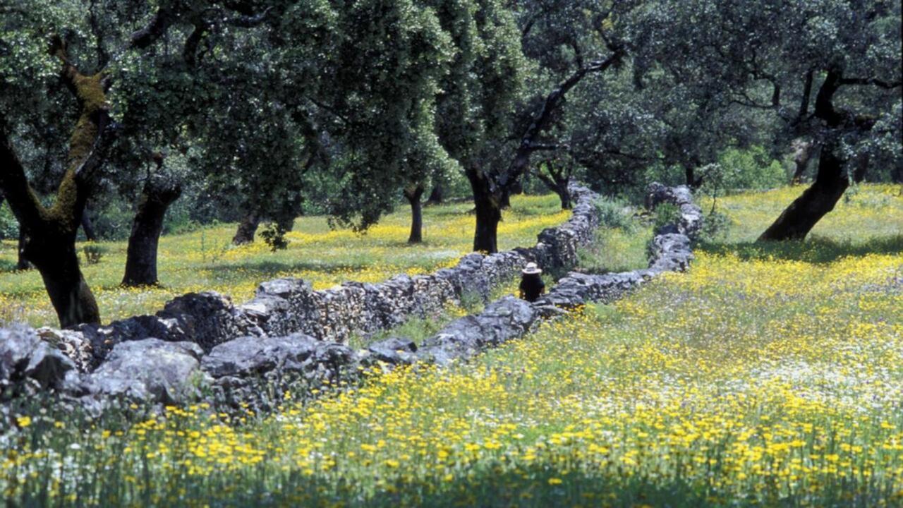 Molino Rio Alajar Alájar Exterior foto